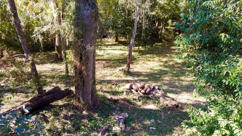1723 NW 14TH AVENUE Gainesville, FL 32605