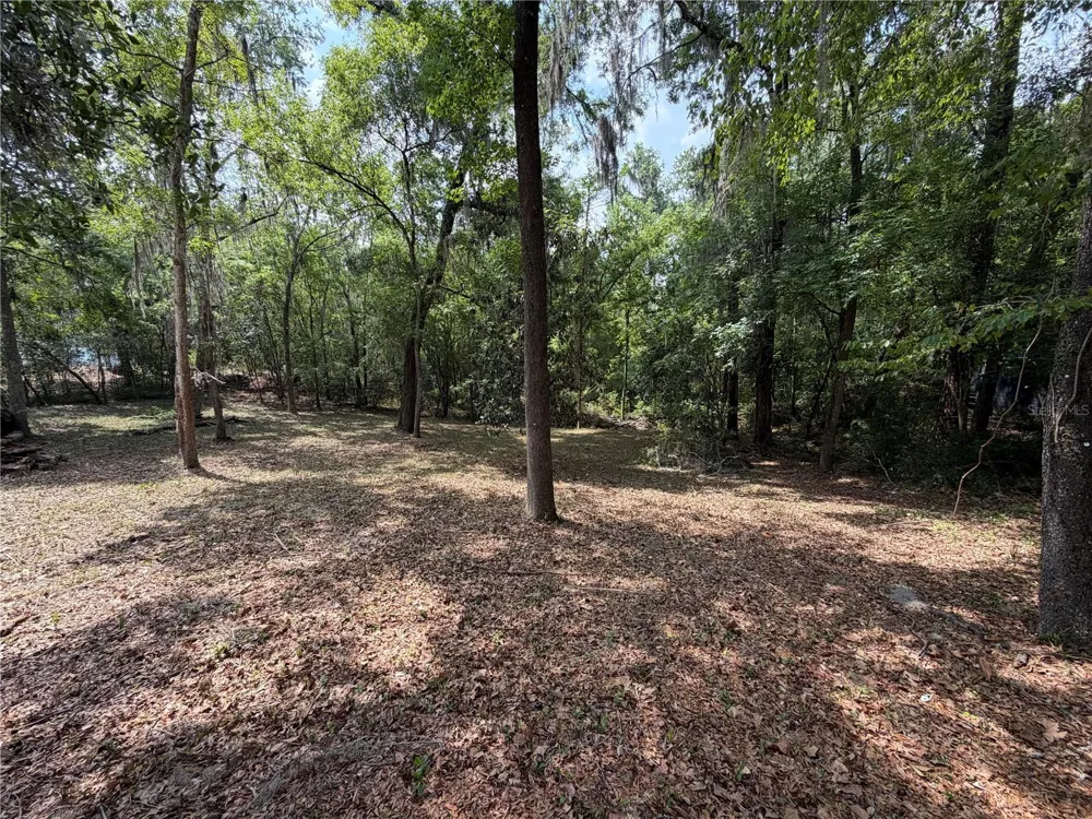 1723 NW 14TH AVENUE Gainesville, FL 32605