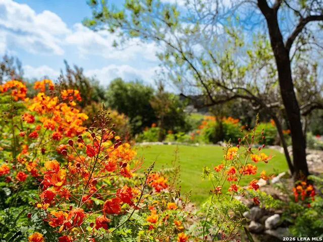 209 River Cliff Place Spring Branch, TX 78070