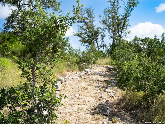 209 River Cliff Place Spring Branch, TX 78070