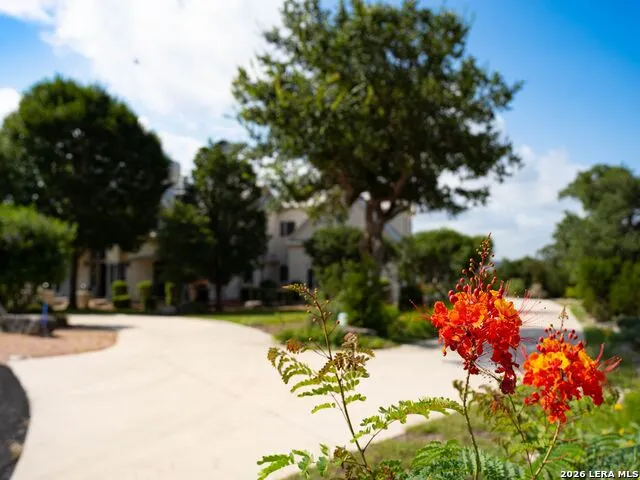 209 River Cliff Place Spring Branch, TX 78070