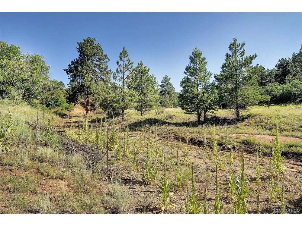 1111 Red Feather Road Cotopaxi, CO 81223
