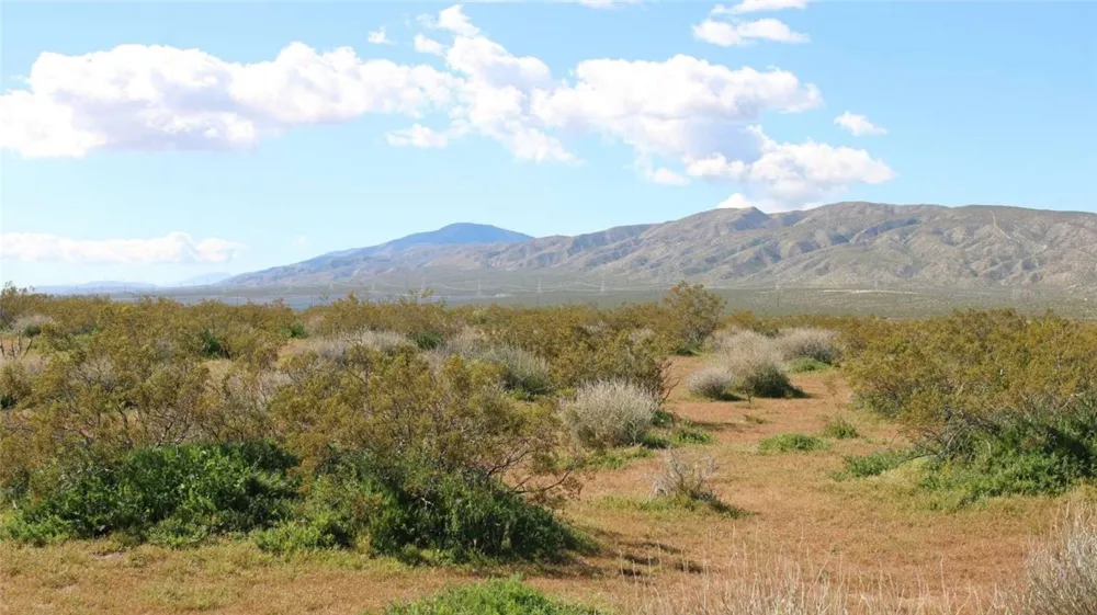 Collins Street Mojave, CA 93501