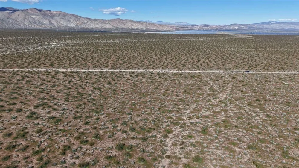 Collins Street Mojave, CA 93501