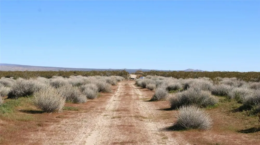 Collins Street Mojave, CA 93501