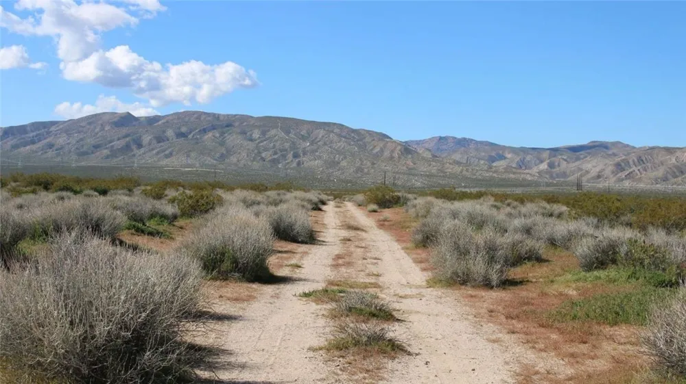Collins Street Mojave, CA 93501
