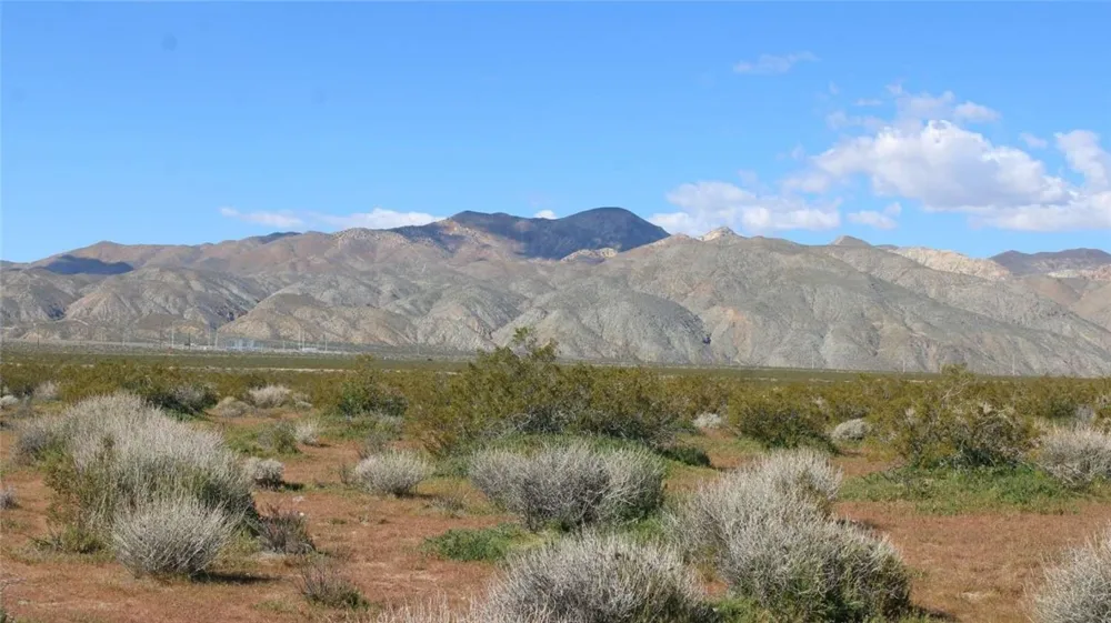 Collins Street Mojave, CA 93501