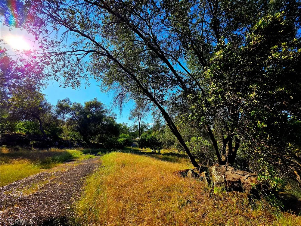 1 River Knolls Place Coarsegold, CA 93614