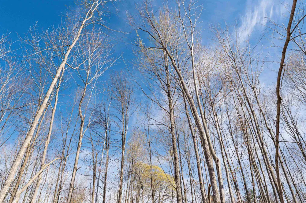 SE Crouch Road Garfield Township, MI 49633