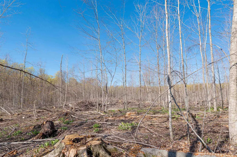 SE Crouch Road Garfield Township, MI 49633