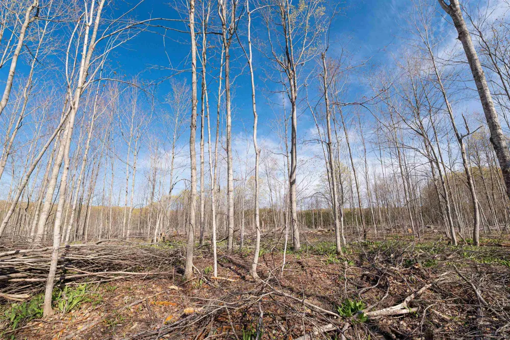SE Crouch Road Garfield Township, MI 49633
