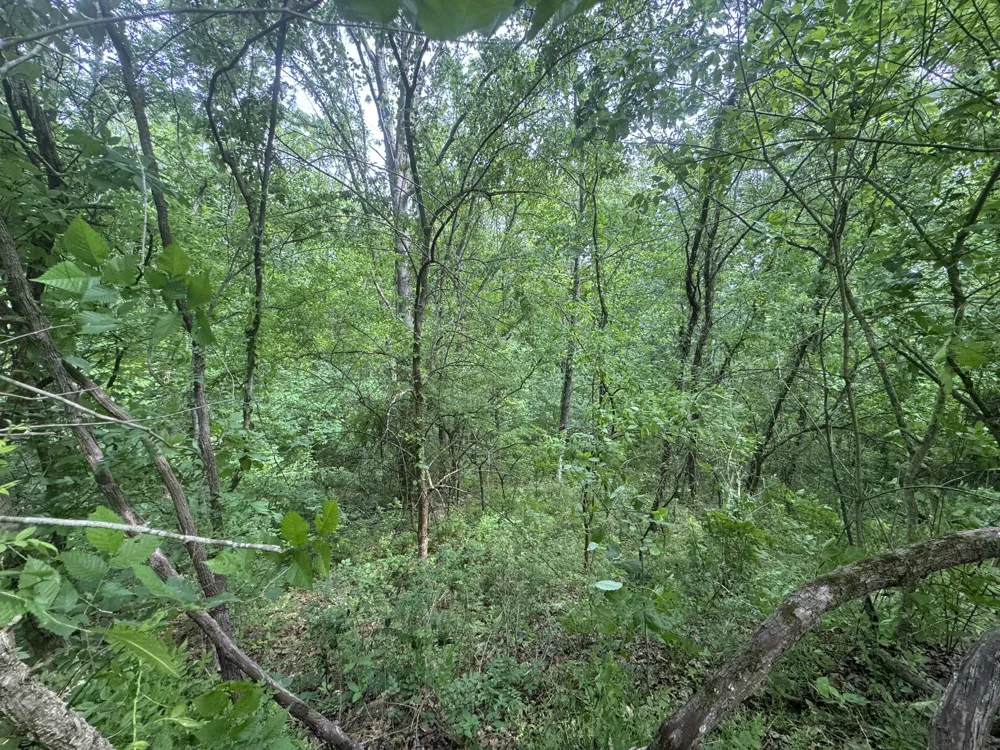 0 Park Dr Silver Point, TN 38582