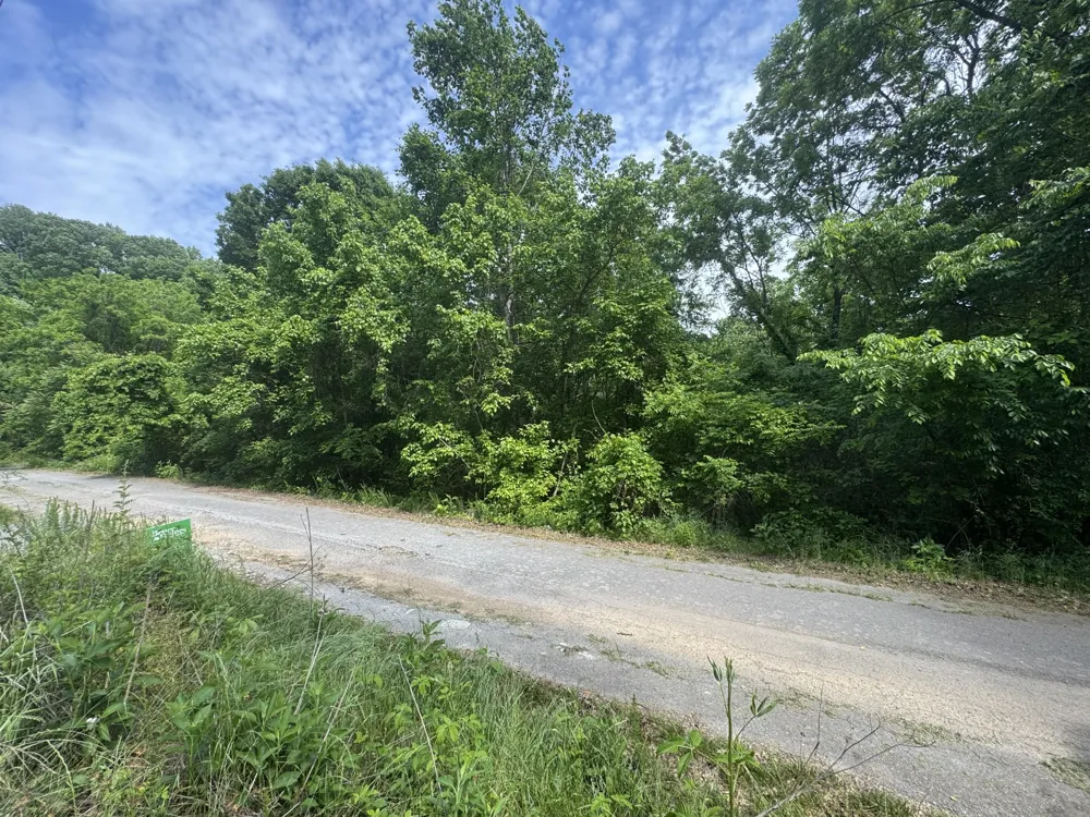 0 Park Dr Silver Point, TN 38582