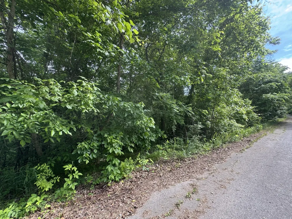 0 Park Dr Silver Point, TN 38582