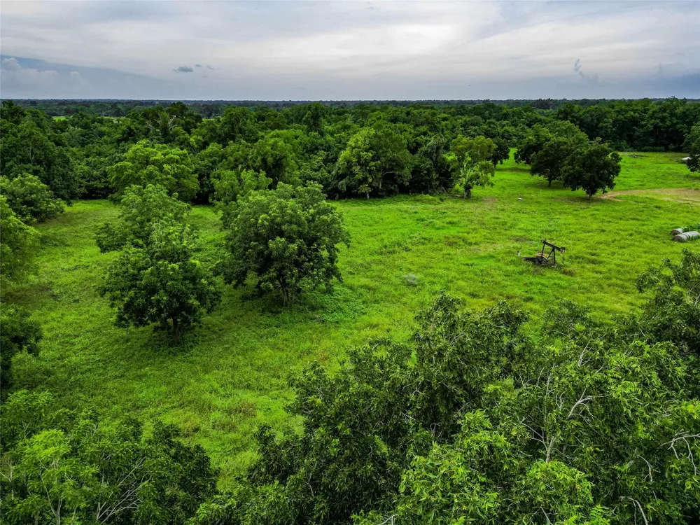 38929 Sampson Road Brookshire, TX 77423