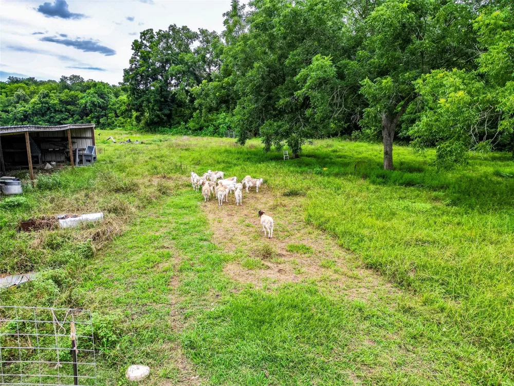 38929 Sampson Road Brookshire, TX 77423