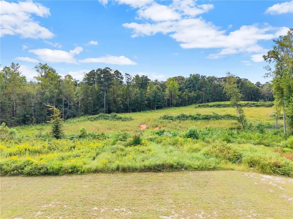 6147 Dahlonega Highway Clermont, GA 30527