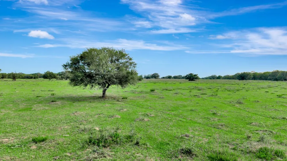 16297 State Highway 111 E Yoakum, TX 77995