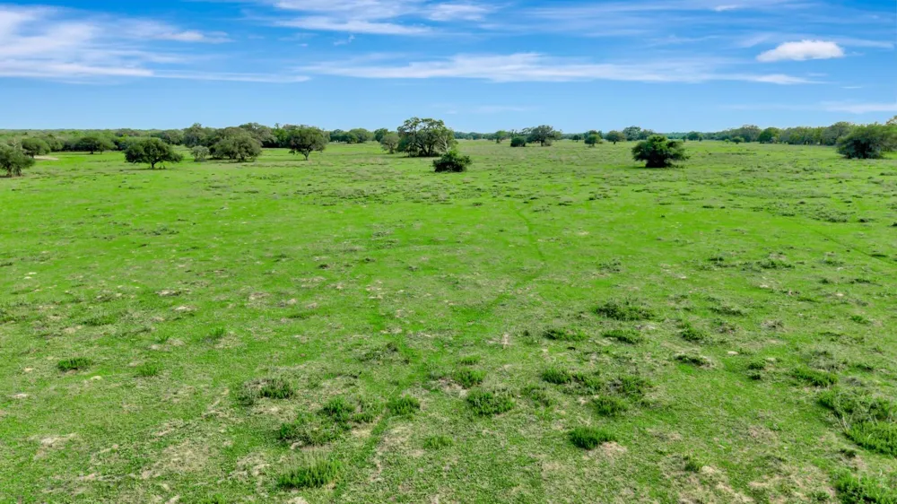 16297 State Highway 111 E Yoakum, TX 77995