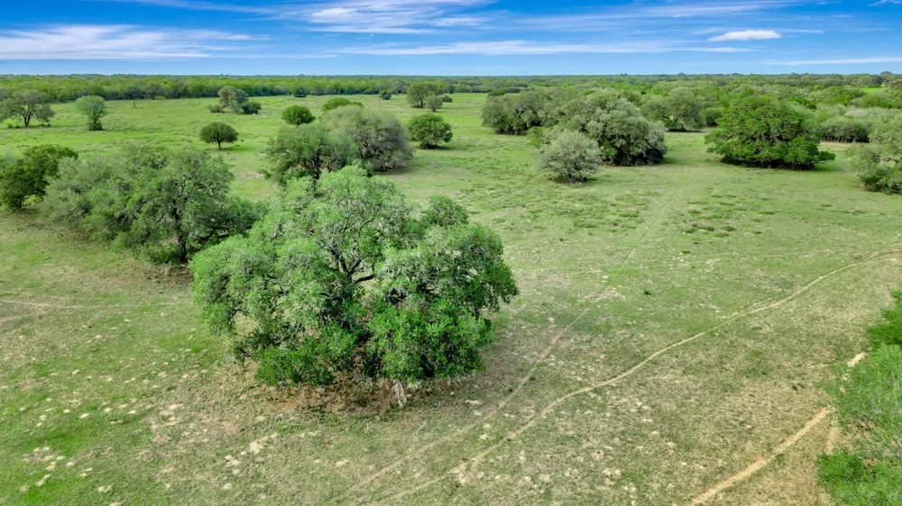 16297 State Highway 111 E Yoakum, TX 77995