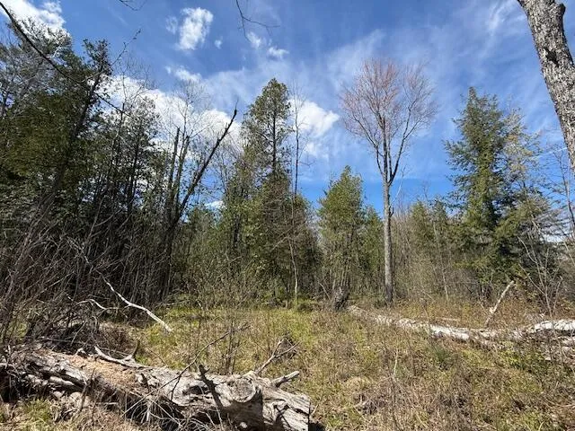 735 Lakola Road Leroy, MI 49655