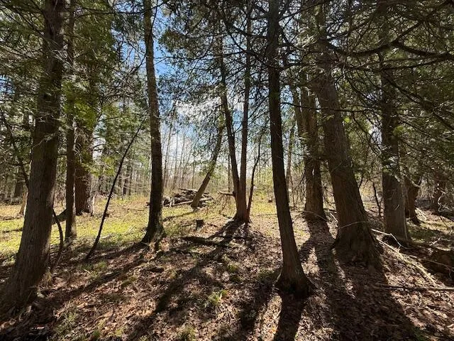 735 Lakola Road Leroy, MI 49655