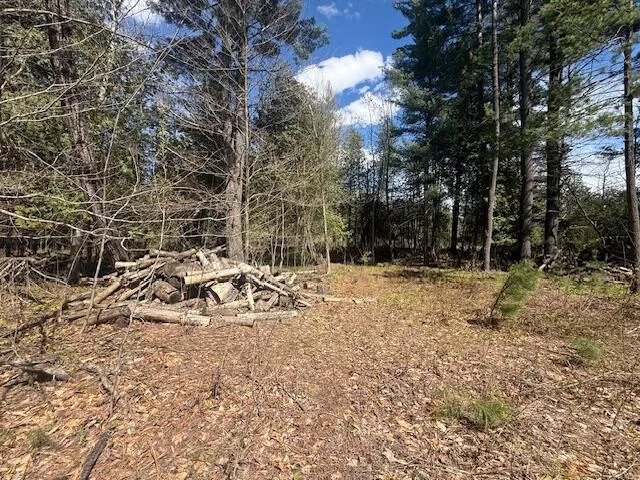 735 Lakola Road Leroy, MI 49655