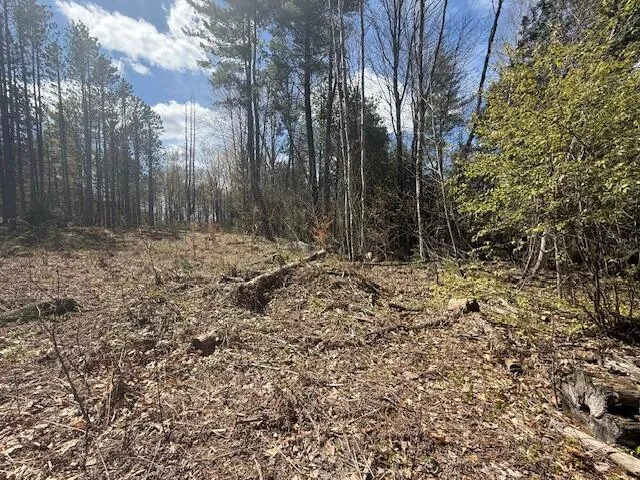 735 Lakola Road Leroy, MI 49655
