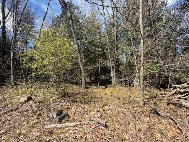 735 Lakola Road Leroy, MI 49655