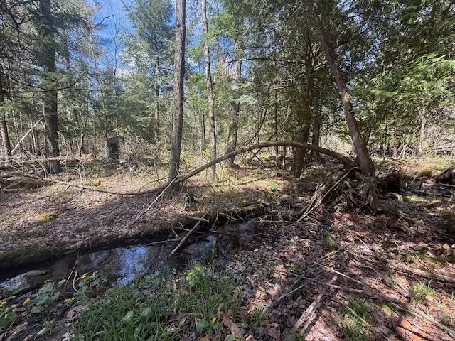 735 Lakola Road Leroy, MI 49655