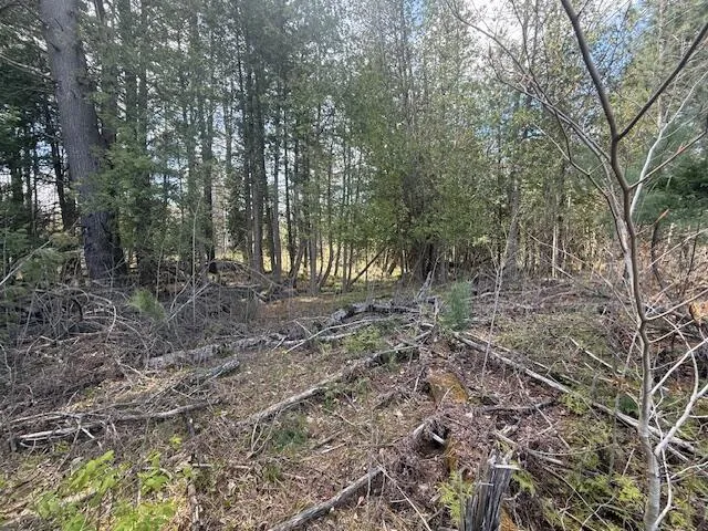 735 Lakola Road Leroy, MI 49655