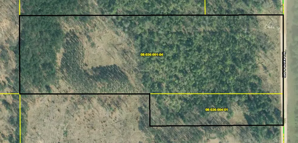 735 Lakola Road Leroy, MI 49655