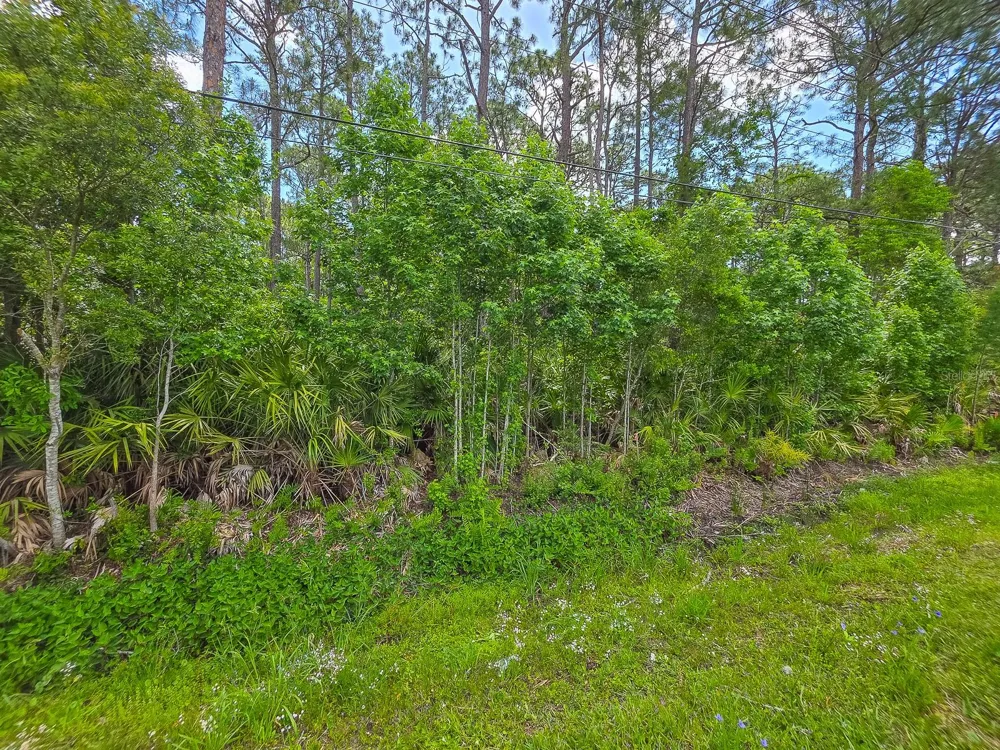 9152 U S HIGHWAY 1 St Augustine, FL 32086