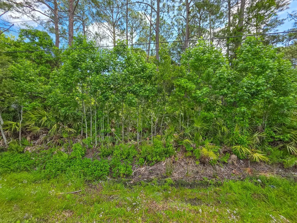 9152 U S HIGHWAY 1 St Augustine, FL 32086