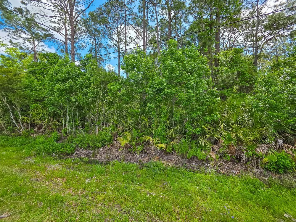 9152 U S HIGHWAY 1 St Augustine, FL 32086