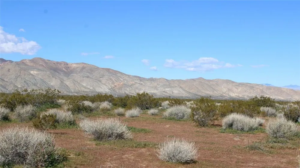 Collins Street Mojave, CA 93501