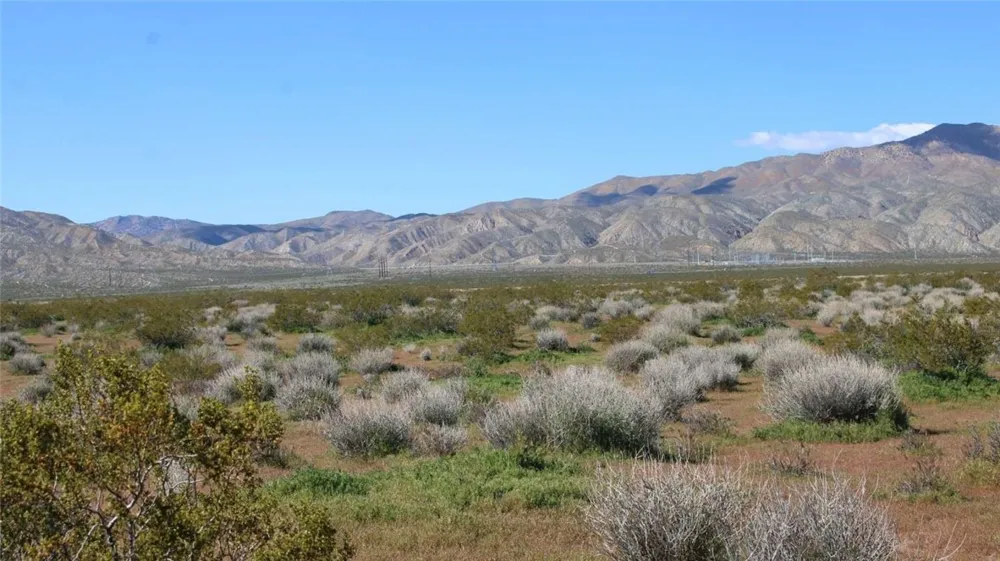 Collins Street Mojave, CA 93501