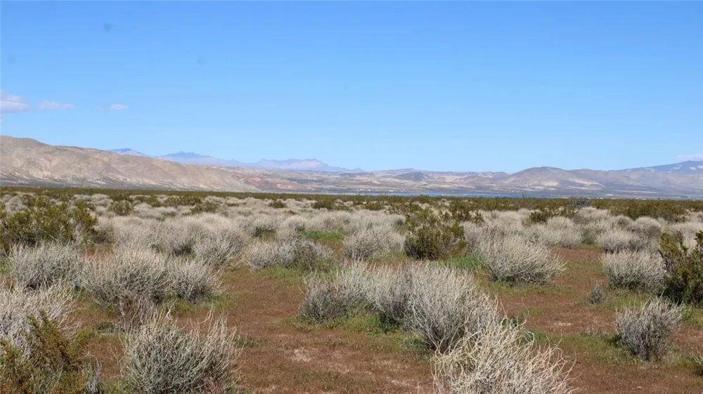 Collins Street Mojave, CA 93501