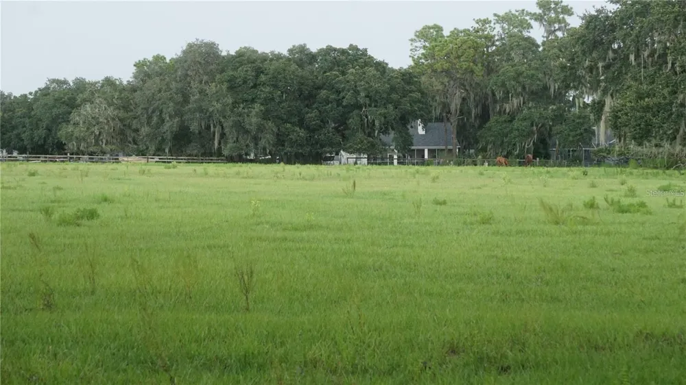 DURANT RD Dover, FL 33527
