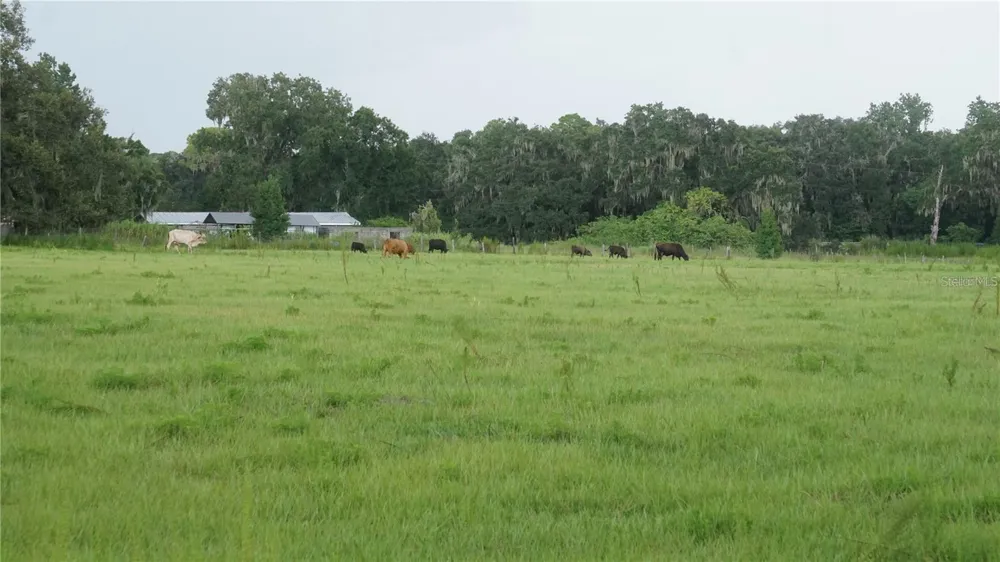 DURANT RD Dover, FL 33527