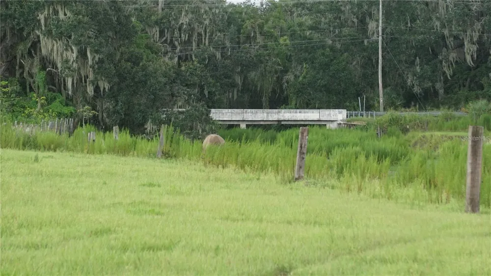 DURANT RD Dover, FL 33527