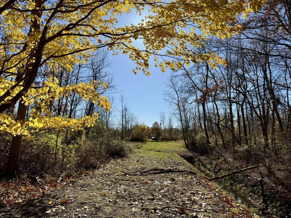 Wiley Road Saugatuck, MI 49453