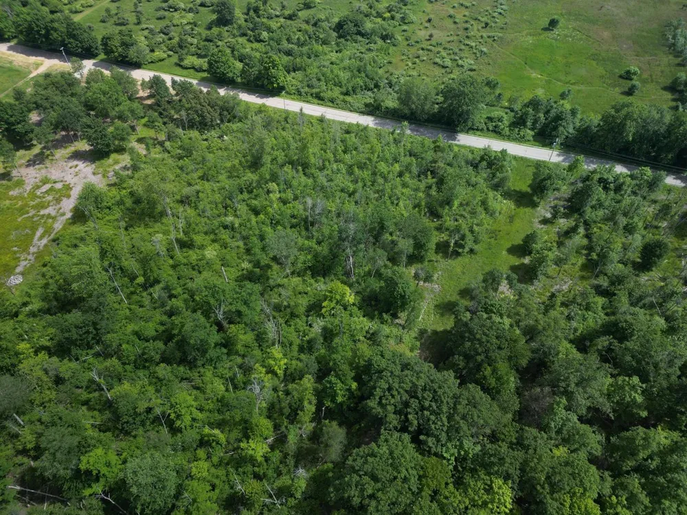Wiley Road Saugatuck, MI 49453