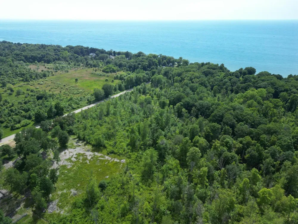 Wiley Road Saugatuck, MI 49453