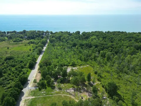 Wiley Road