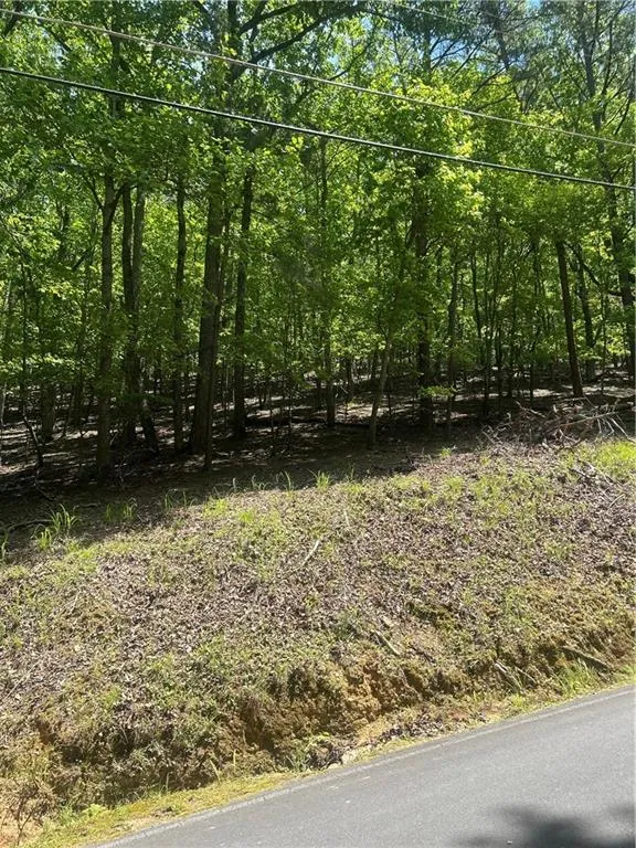 381 Hillside Drive Waleska, GA 30183