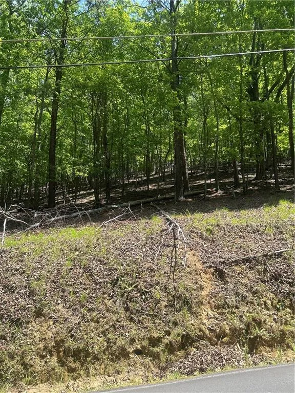 381 Hillside Drive Waleska, GA 30183