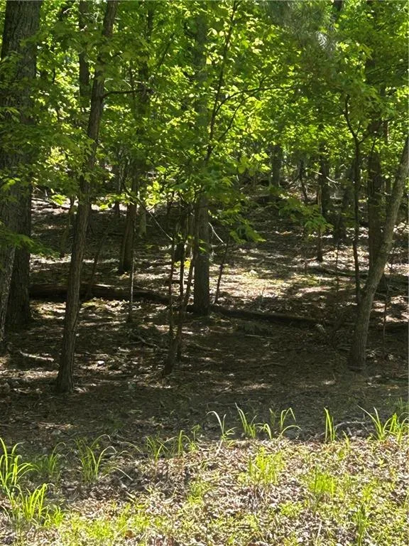 381 Hillside Drive Waleska, GA 30183