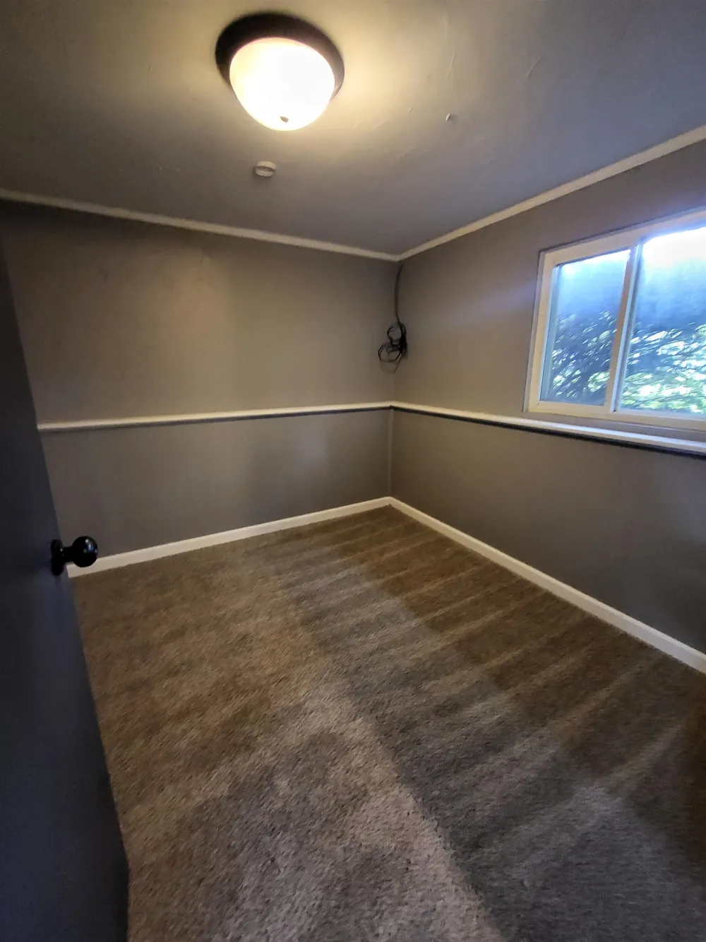 537 Clarion Street Clio City, MI 48420