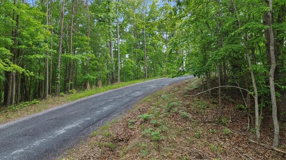 1563 Dover Circle Ranger, GA 30734